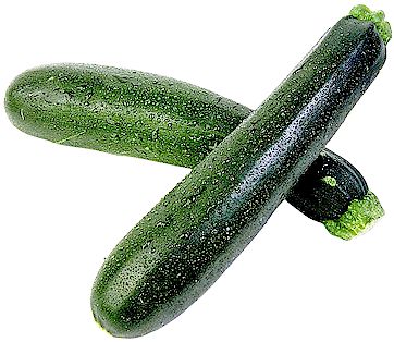 How to Grow Zucchini