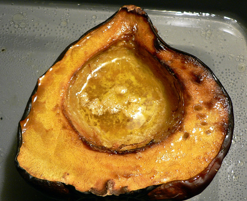 Baked Squash