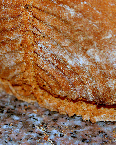 Beer Bread