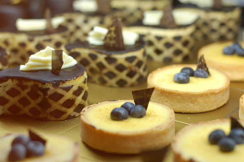 Blueberry Cheesecake Squares