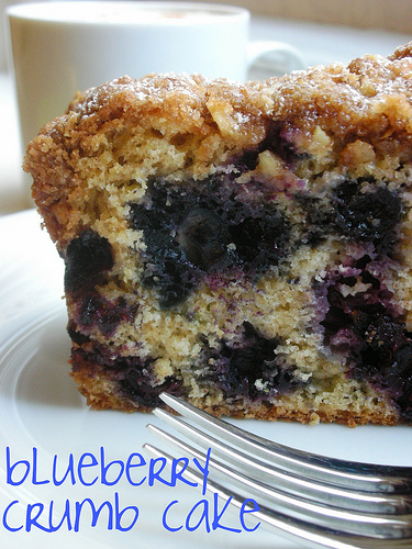 Blueberry Crumb Cake