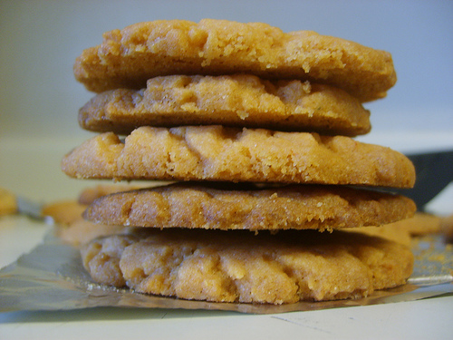 Butterscotch Pudding Cookies