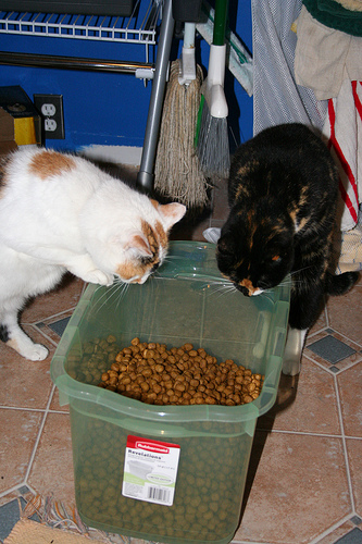 Calico Casserole