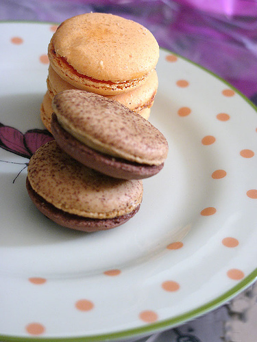 
Caramel Biscuits