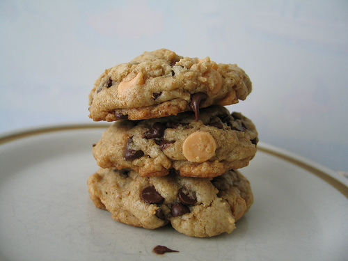 Chewy Chocolate Chip Cookies