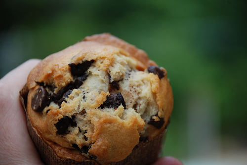 Chocolate Chip Muffins