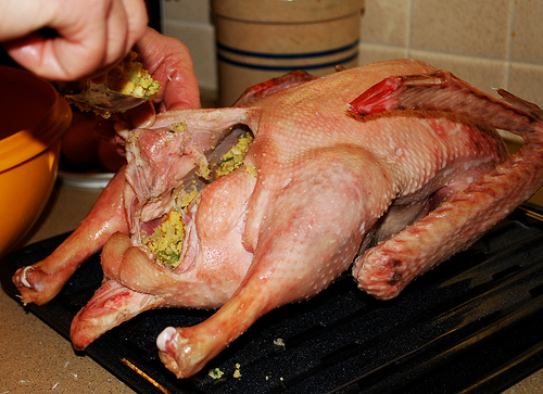 Christmas Goose