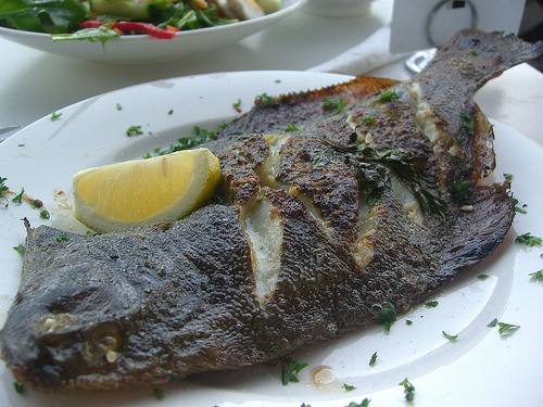 Crispy Grilled Fish Fillets