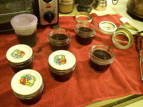 No-cook Red Currant Jelly