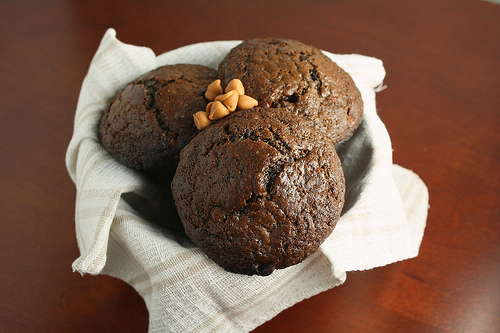 Double Chocolate Muffins