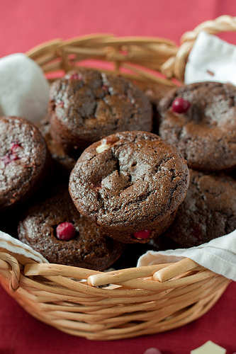 Double Chocolate Muffins