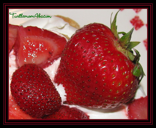 Easy Mixed Fruit Gelatin Dessert