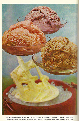 
Easy Vanilla Ice Cream