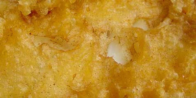 
Deep-fried Haddock Fillets