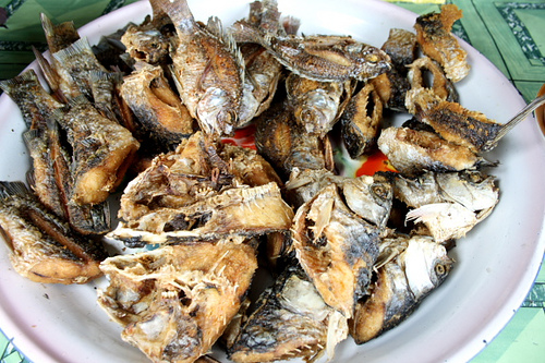 Oven Fried Tilapia