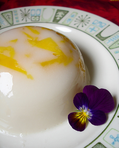 Fruited Fruit Juice Gelatin