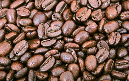 Java Roast