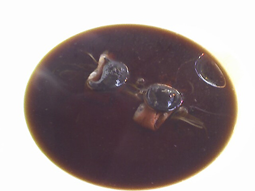 Double Mushroom Consomme