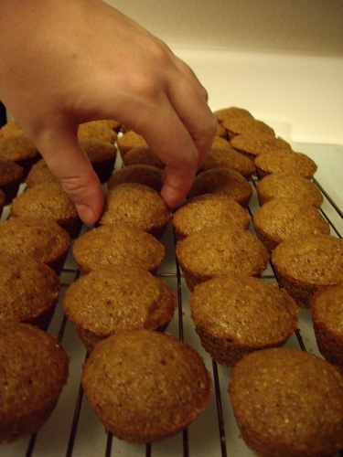 Oat Or Bran Muffins