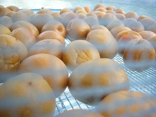 Pickled Apricots