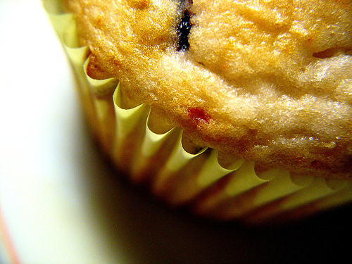 Quick Cocoa Bran Muffins