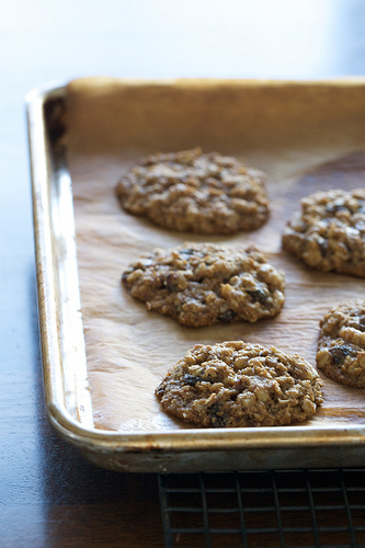 Diabetic Oatmeal Raisin Cookies 