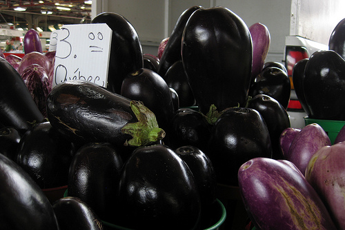 South Of The Border Eggplant