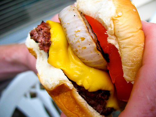 Vegetable Beef Burgers
