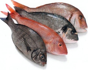 How To Eat Fresh Fish 