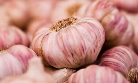 Garlic Necessary For A Healthy Heart