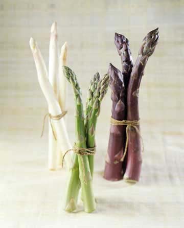 History Of Asparagus As Food  The Dainty Darling Of The Past  A Gift of The Present