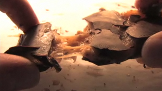 Peanut Butter Chocolate Bars Recipe Video