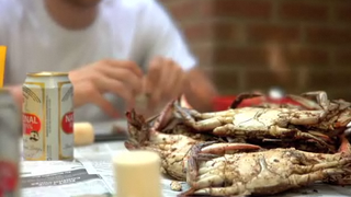 Steps To Eat Crabs Video
