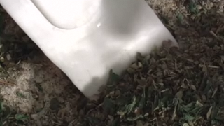 Tips To Make Homemade Italian Dressing Seasoning Mix Video