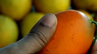 Mango Chutney Recipe Video