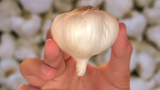 Tips To Roast Garlic Video