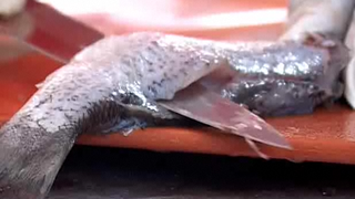Tips To Fillet Fish Video