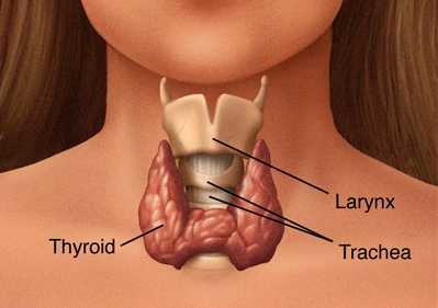 Supplements for Hyperthyroidism
