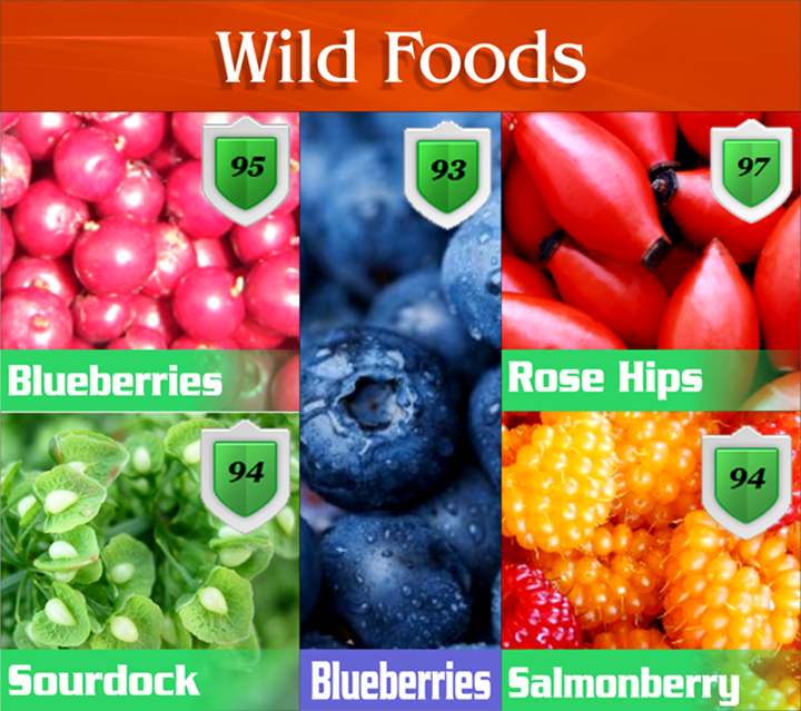 Indigenous Foods Rank High On Nutrition