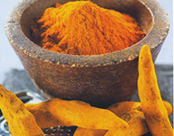 Top 10 Antioxidant Spices