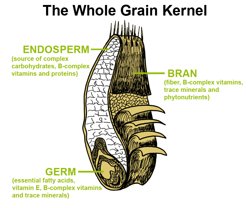 Learn Activities to Teach the Grain Food Group to Your Children