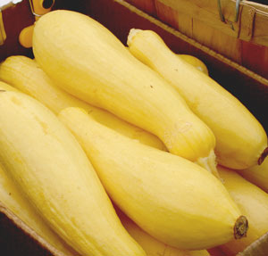 How to freeze yellow squash 