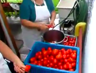 Making Tomato Sauce Video