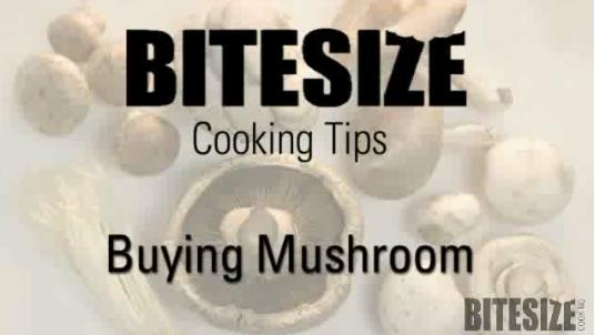 Mushrooms - Uses And Methods Video