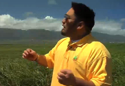 Maui Brand Natural Cane Sugars Review Video