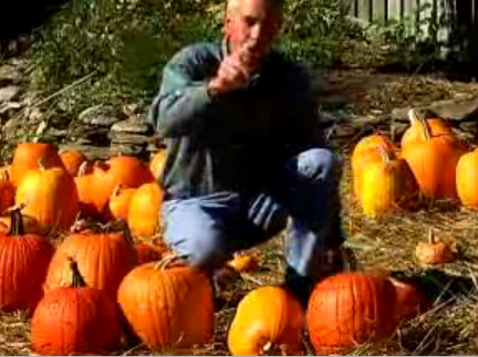 How To Pick The Best Pumpkin Video