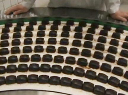 A Tour Of Chocolate Making Factory Video