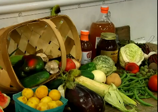 Food Festival Organized Video