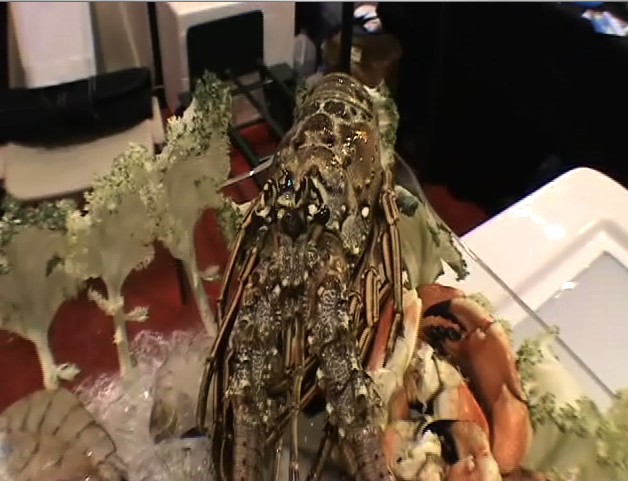 Sea Food Spread At The Florida Restaurant Show Video