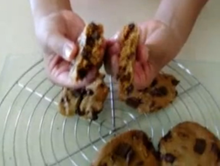 Overview Of Solar Cooked Chocolate Chip Cookies Video